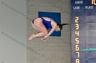 Diving vs Babson  Wheaton College Diving vs Babson College. - Photo By: KEITH NORDSTROM : Wheaton, Diving